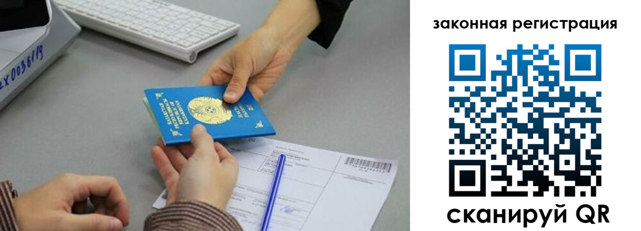 прописка поиск в Туле